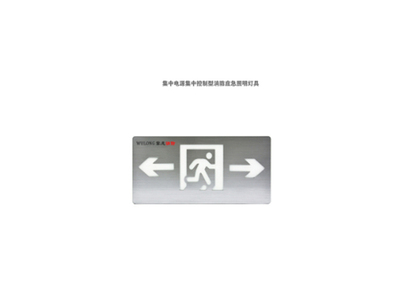 控制型应急疏散指示灯